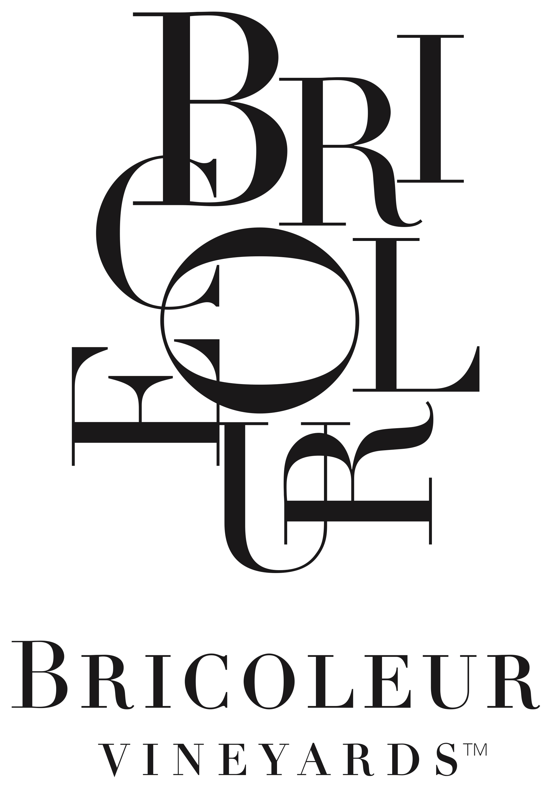 BV logo